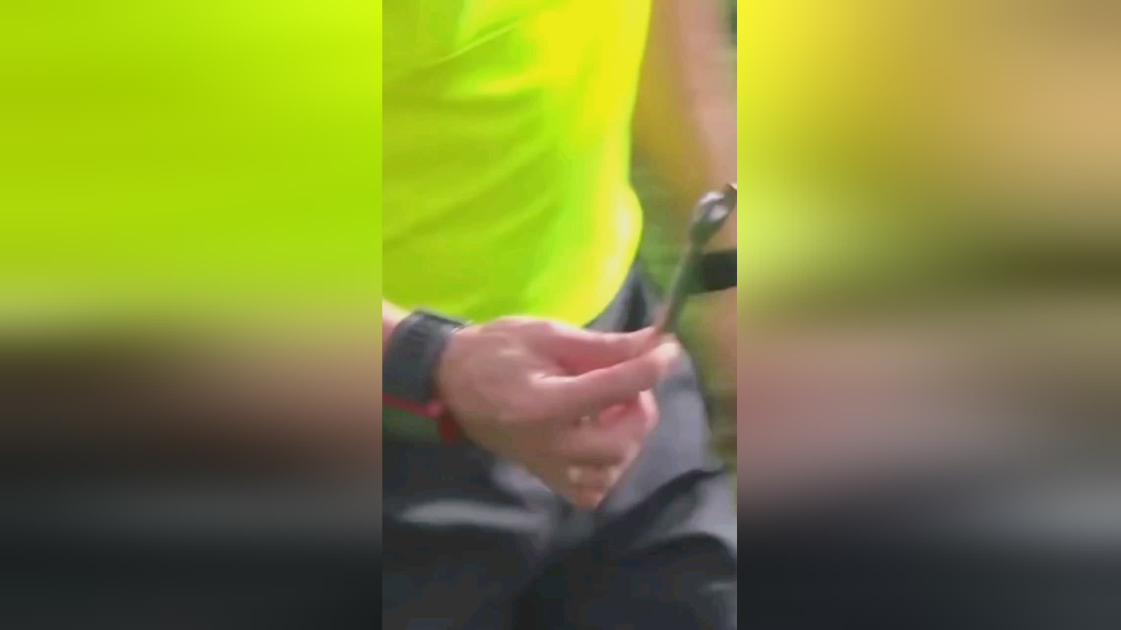识的画布